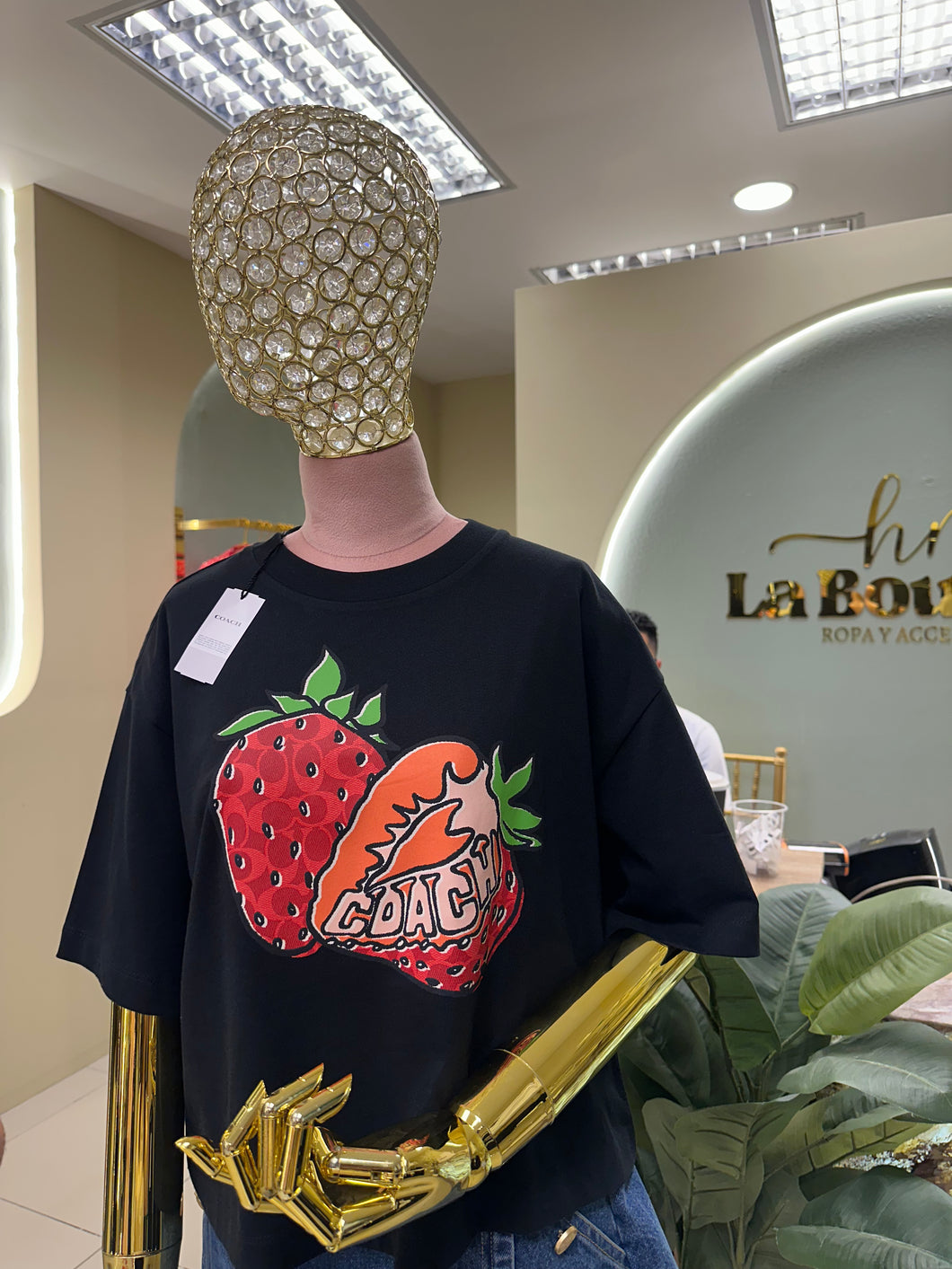 Coach crop top